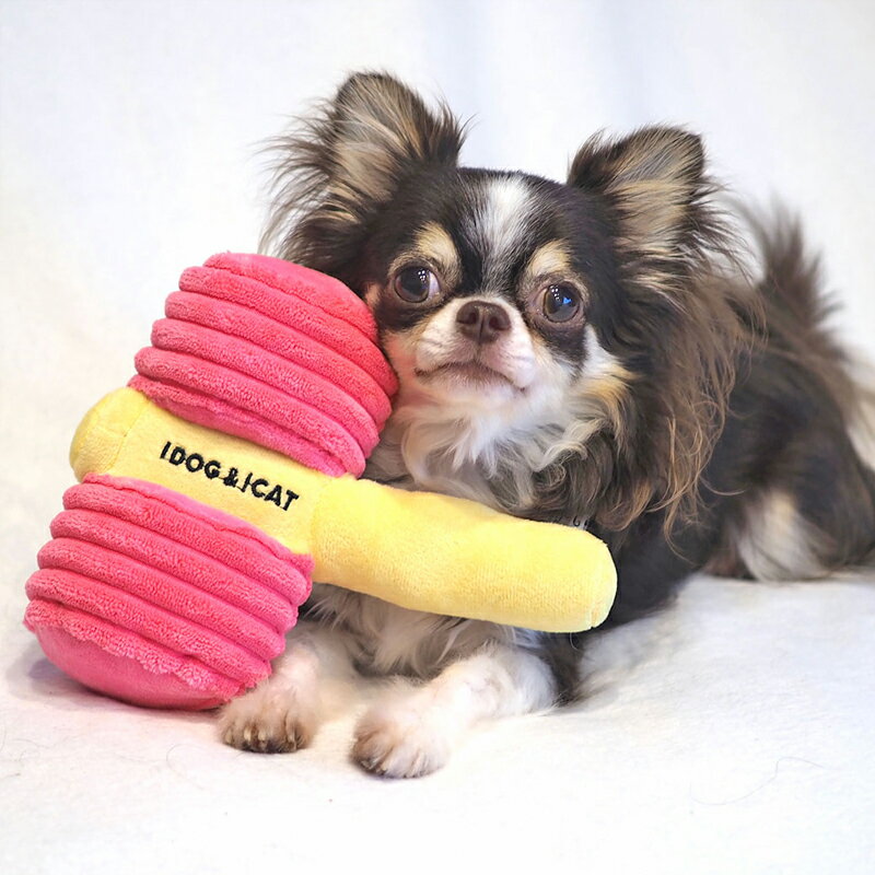 ڸΤiDog ԥԥϥޡ 㥫Ĥū (16986)625ꡦ1,000ߥեݥ1...