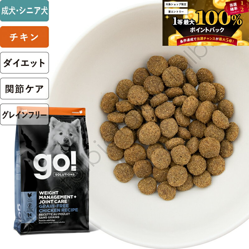 GO! 塼 νŴܴᥱ 쥷 ɥåաɡ1115ꡦ1100%ݥȥХå