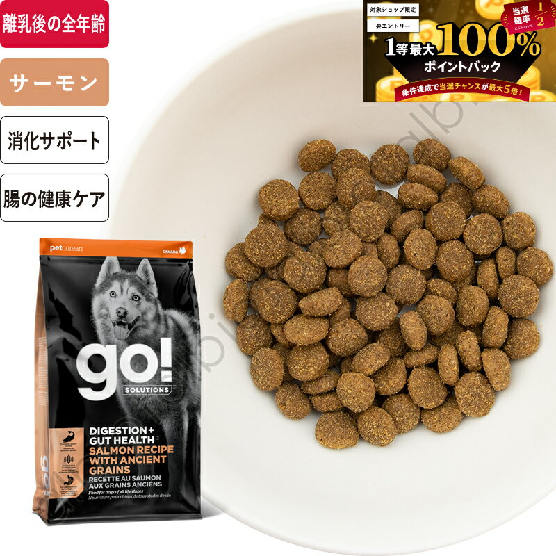 go! サーモンレシピ ドッグフード 中古品 オープンファーム ドッグフード サーモン レシピ 4LB 1.81KG
