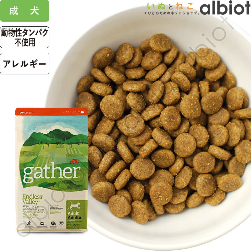 GATHER ギャザー エンドレスバレー