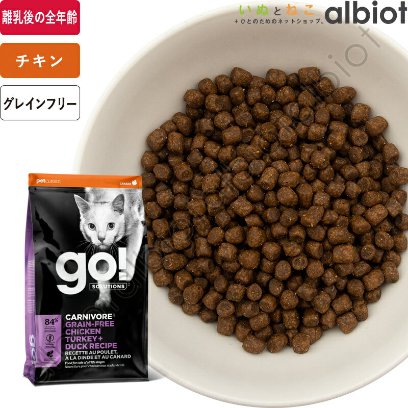 GO! 塼 ˥ܥ 󥿡ܥå åȥա
