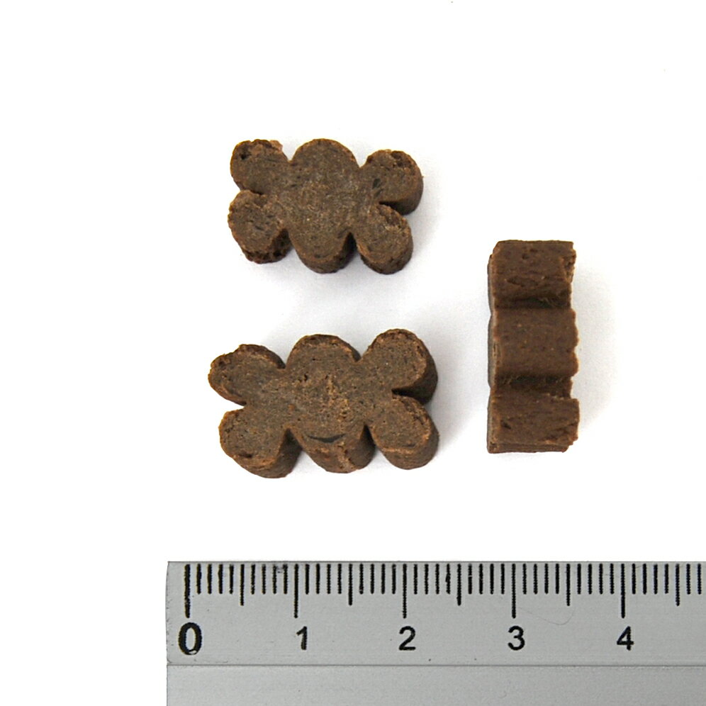 ��2��5�� ����1,000�ߥ��ե����ݥ�(�������)��1������100%�ݥ���ȥХå����ץ���ȥ꡼�ۤ�󤳤Υ��ʥ��� ��γ������