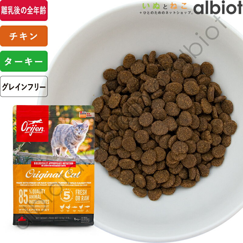ꥸ ꥸʥ륭å åȥա