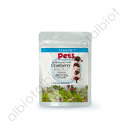 ECLECTIC Pets クランベリー 300mg×15カプセル【5月1日限定!エントリーして購入で1等最大100%ポイントバック!】