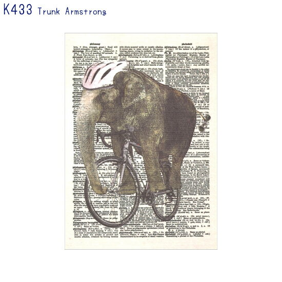 アーティストのイラストがプリントされたポストカード (K433)Trunk Armstrong