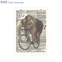 【10月25日限定 1等最大100%ポイントバック】アーティストのイラストがプリントされたポストカード (K433)Trunk Armstrong