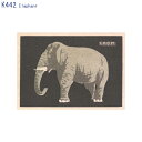 A[eBXg̃CXgvgꂽ|XgJ[h Elephant (K442)