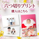 【全品5％OFF×ポイント2倍 26日1:59まで】プロプリント出力／6つ切り（A4より縦がやや短めのサイズ感）　ZP6tu