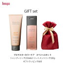 【最短即日発送/正規販売】hoyu ホーユー プロマスター カラーケア スペシャルセット(セット詳細:シャンプー250ml+トリートメント200g+ギフトラッピング)