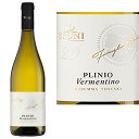 Cantina Bruni Plinio DOC 2023カンティーナ ブルーニ プリニオ DOC イタリア 白ワイン ワイン wine 白 辛口 トスカーナ 12.5% ガンベロロッソ