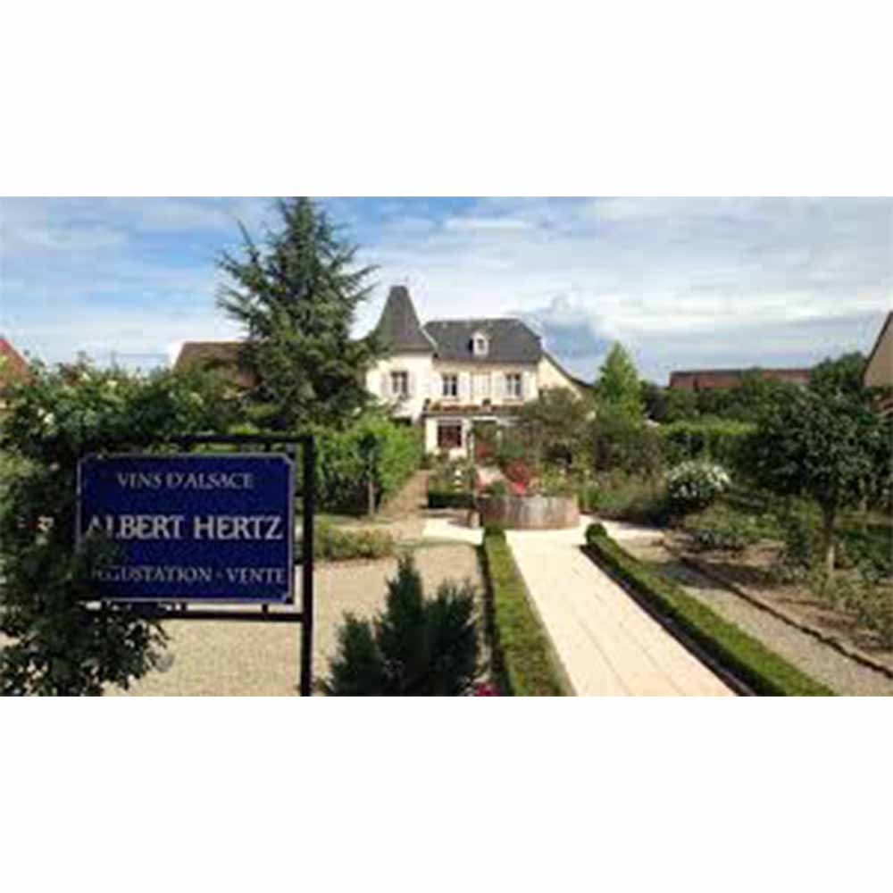 Alsace Gewurztraminer Eguisheim 2022アルザス ゲヴュルツトラミネール エギスハイムアルザスワイン ゲヴルツ 白ワイン アロマティックワイン フランス ビオワイン Bio 自然派ワイン 飲み頃ワイン wine 仏 14% 大阪万博 パビリオン alcowine-10004401 アルコワイン サンプル画像2