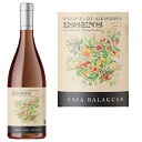 å ⥹ƥ  磻 2022Essens Moscatel Orange Wine 2022ڥ ꥫ ⥹...