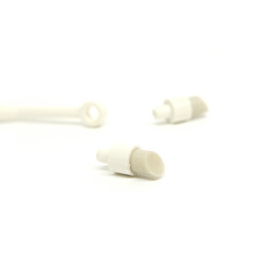 �������� �ƥ��������꡼�ʡ��ʸ��ѥ��ƥ�������� ��