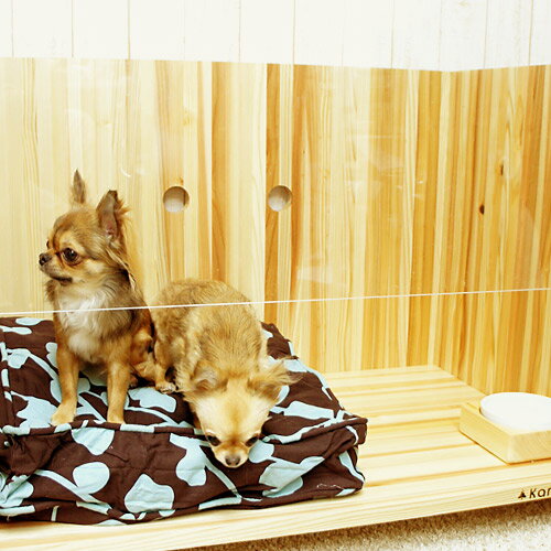 kanbatsu SNUG Cage ����Х� ���ʥå���������