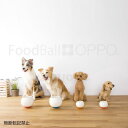OPPO(オッポ)Food Ball -フードボール- レギュラー○