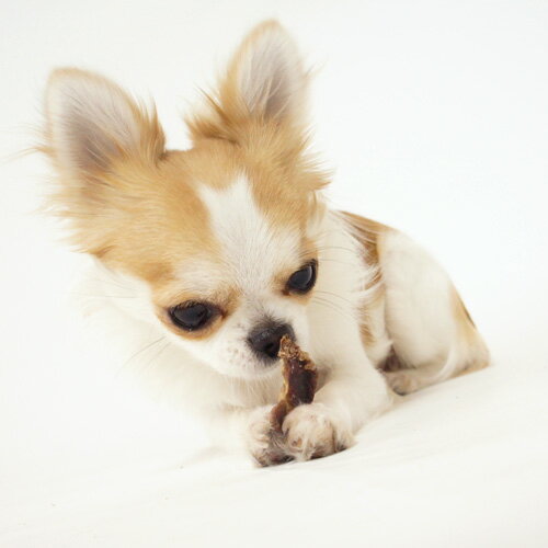 POCKET DIAMOND�ʥݥ��å� ��������ɡˤ���ġ����ʤ����