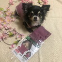 クークチュール テラビューティ・クレーブルマスク(1枚入り)○