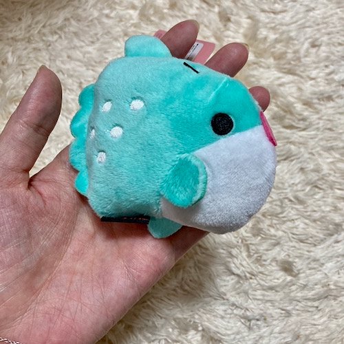 マンボウ○のサムネイル