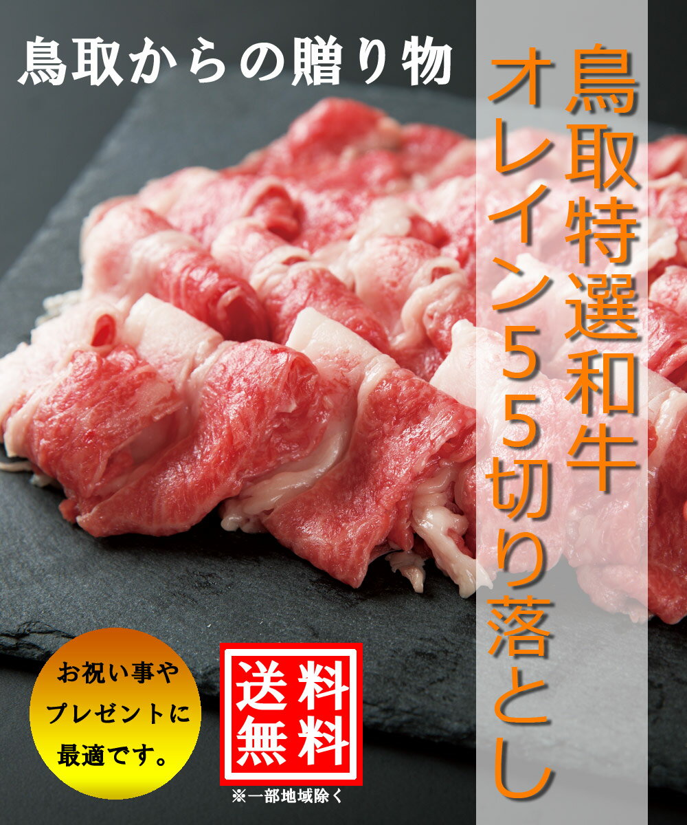 肉質日本一に選ばれた 鳥取和牛 オレイン55　切り落とし(500g) すき焼き しゃぶしゃぶ 黒毛和牛 化粧箱 贈答用 業務用にも 高級志向 3