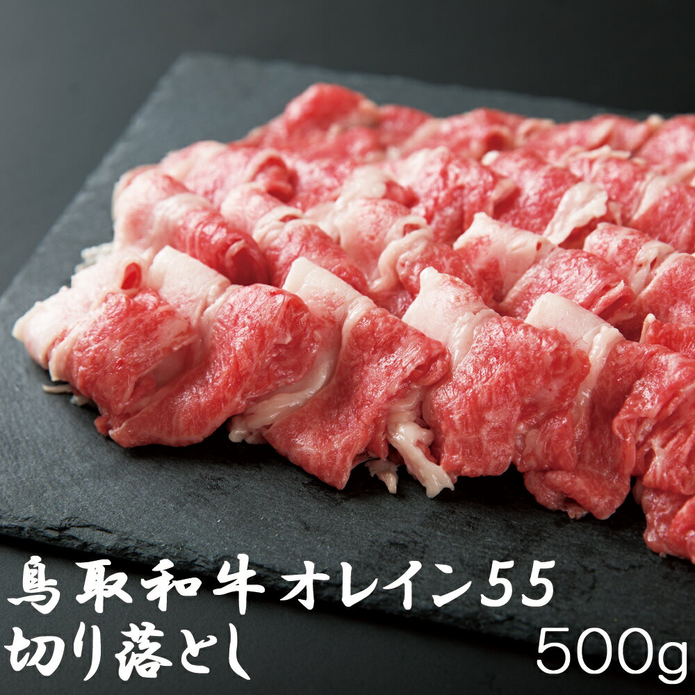 肉質日本一に選ばれた 鳥取和牛 オレイン55　切り落とし(500g) すき焼き しゃぶしゃぶ 黒毛和牛 化粧箱 贈答用 業務用にも 高級志向 1