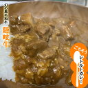 ご当地カレー レトルトの常識を覆す 高級肉たっぷり！ 黒毛和牛 隠岐牛カレー(220g)×2 ごちそうレトルトカレー 国産ブランド牛 贈答 プレゼント 送料無料 【ゆうパケット】