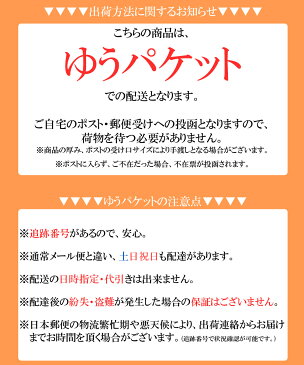 ポイント消化 送料無料 牡蠣だし 和風だし 広島産 8.4g×8袋 粉末パック うどん おでん 味噌汁 父の日【ゆうパケット】