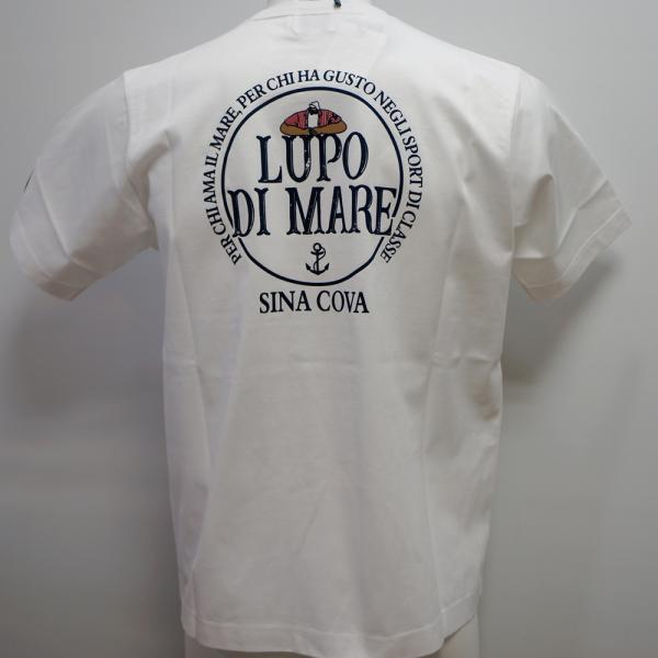 Rakuten - シナコバ・25 春夏 SS 新作・半袖 Tシャツ(L)(LL)25110580-100
