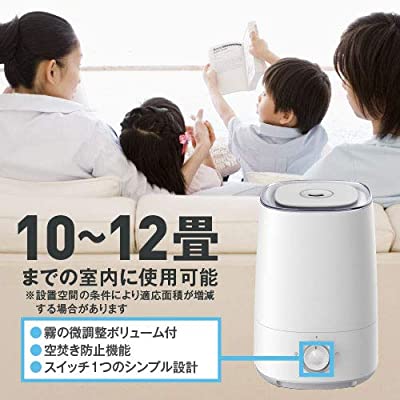超音波加湿器 4リットル大容量タンク 次亜塩素酸水対応 上部給水式 ジアニスト