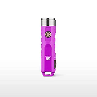 RovyVon Aurora A1x 充電式LEDキーホルダー懐中電灯、650ルーメンXP-G3超高輝度、EDCポケットサイズ、USB充電、防水、キャンプ、ハイキング、緊急、アウトドアに最適(紫)