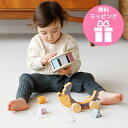 型はめおもちゃ Polar B ソーティングプルトイ/はりねずみ 正規品 ポーラービー 赤ちゃん 幼児 木のおもちゃ 天然木 型はめ 型合わせ ベビー 誕生日 クリスマス Xmas プレゼント 動物 玩具 男の子 女の子 出産祝い お祝い ギフト 1歳誕生日 ハーフバースデー ベビートイ ベビーシャワー 内祝