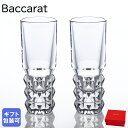 バカラ Baccarat グラス ルクソール ショットグラス 2客セット ペア 2816002 クリスタル 食器【スペシャルラッピング660円(別売り)】