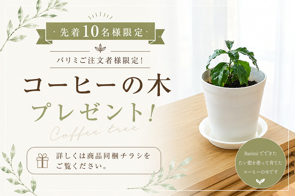 6日-9日エントリー最大20倍★【公式】【UVランプ1本プレゼント】安心のアフターサー...