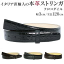 ストリンガ(ズボン用替えベルト) バックルなし 幅3cm ウエスト約107cmまで クロコダイルレザー 【ジョルジオ スタメッラ】