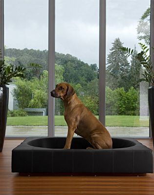 ɥ ǹ 緿 ٥å 緿 ƥꥢ ٥å ȶ 緿 쥶ĥ ڥå ڥå ϥɥᥤ եȥޥ󥷥å Ĺ dog furniture pet å С å֥ ̵  CUBE