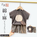 子供服 キッズ 男の子 半袖Tシャツ パンツセット写真色 ルームウェア 薄手 涼しい カジュアル プレゼント お出かけ オシャレ かわいい 普段着 通学 通園 春 夏 80cm 90cm 100cm 110cm 120cm