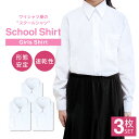 スクールシャツ 女子 3枚セット 長袖 白 制服 学生服 ブラウス シャツ ワイシャツ ノーアイロン 形態安定 イージーケア 中学生 高校生 レディース セット カッターシャツ ブレザー A体 at-ch-sre-1834-3fix【宅配便のみ】 AL 福袋 楽物自動出荷