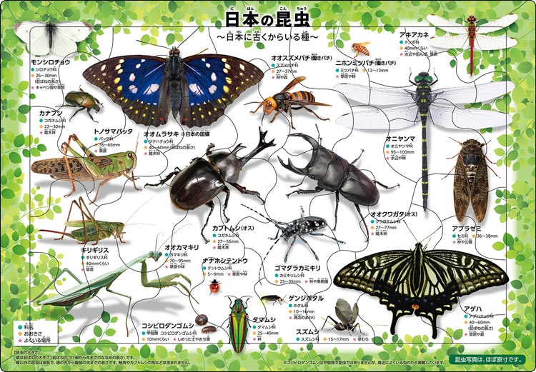 ピクチュアパズル 日本の昆虫 35ピース 昆虫 APO-25-176 パズル Puzzle 子供用 幼児 知育玩具 知育パズル 知育 ギフト 誕生日 プレゼント 誕生日プレゼントのサムネイル