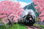 ジグソーパズル 桜と大井川鐵道-静岡 1000ピース EPO-09-020s パズル Puzzle ギフト 誕生日 プレゼント 2,156円