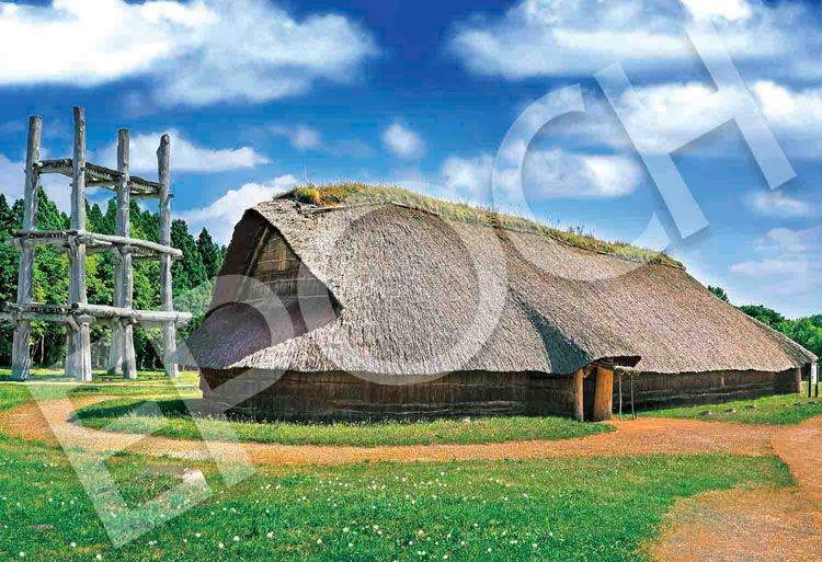 ジグソーパズル三内丸山遺跡［日本］...