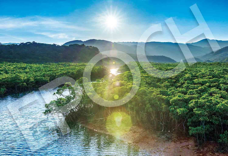 ���������ѥ��� ��ɽ������ܡ� 300�ԡ��� EPO-26-361s ��CP-NT�ϡ�CP-WH�� �ѥ��� Puzzle ���ե� ������ �ץ쥼��� �������ץ�...