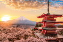 ジグソーパズル YAM-13-05　風景　春暁の富士山と桜 (山梨)　1000ピース パズル Puzzle ギフト 誕生日 プレゼント