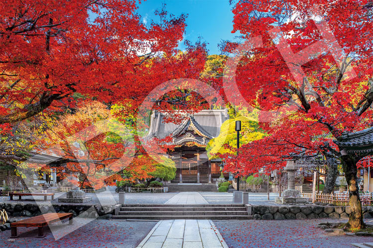 ジグソーパズル 修禅寺の美しい秋 -静岡 1000ピース E