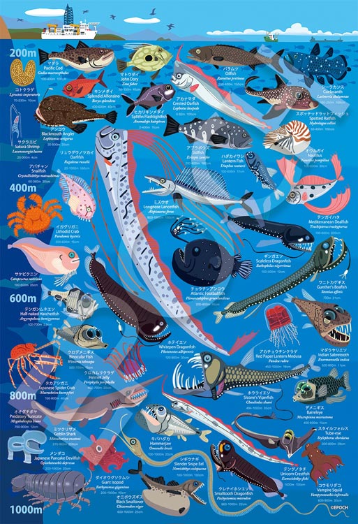 子供用パズル 深海生物図鑑 水深200m～1000m(友永たろ) 100ピース EPO-26-807 パズル Puzzle ギフト 誕生日 プレゼント 誕生日プレゼント あす楽対応