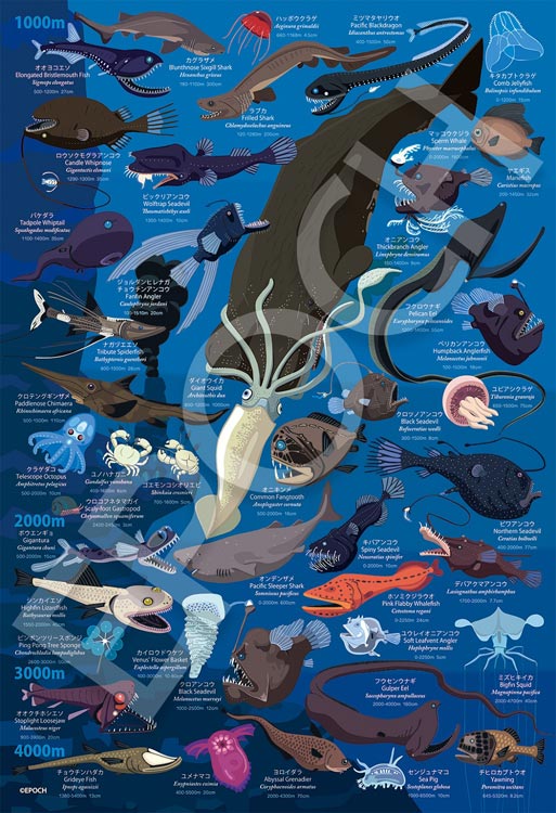 子供用パズル 深海生物図鑑 水深1000m～4000m(友永たろ) 100ピース EPO-26-808 パズル Puzzle ギフト 誕生日 プレゼント 誕生日プレゼント あす楽対応