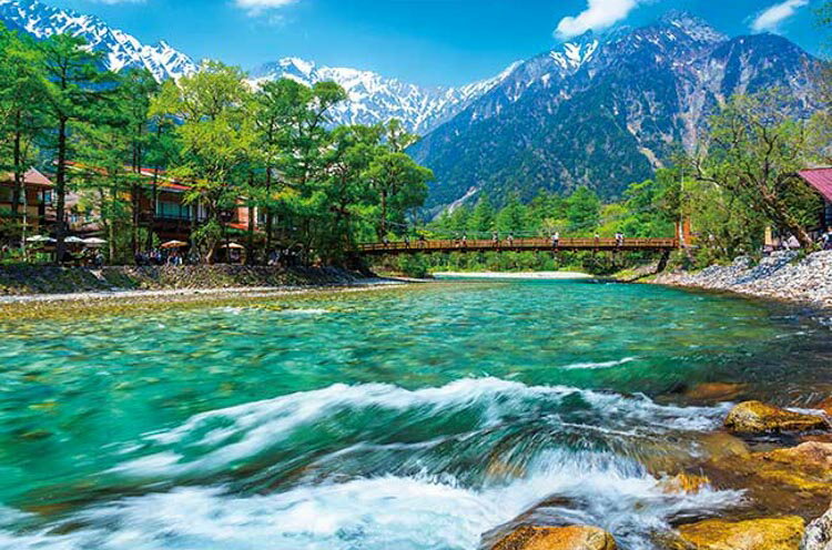 ���������ѥ��� ��ή�����Ϣ�� -Ĺ��- 1000�ԡ��� APP-1000-884 ��CP-NT�ϡ�CP-JS�� �ѥ��� Puzzle ���ե� ������ �ץ쥼��...