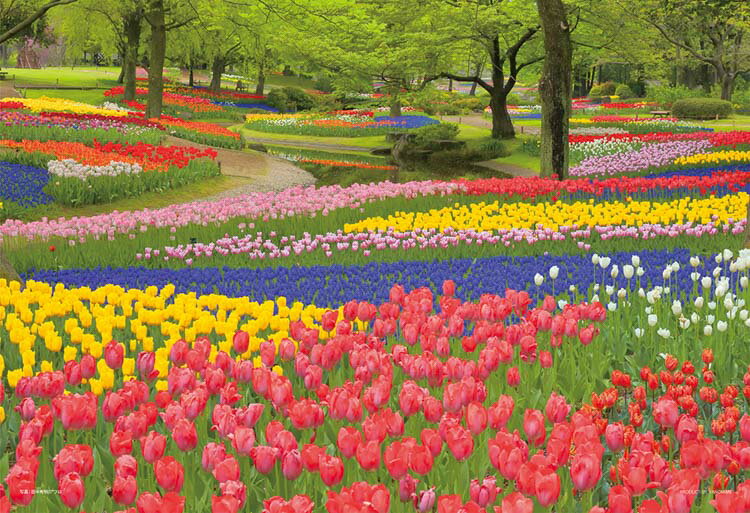 ジグソーパズル 花咲く昭和記念公園（東京） 108ピース YAM-01-2090 パズル Puzzle ギフト 誕生日 プレゼントのサムネイル