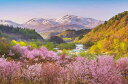 ジグソーパズル 春茜 月山と大山桜 1000ピース APP-1000-910 パズル Puzzle ギフト 誕生日 プレゼント 誕生日プレゼント
