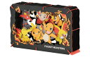 TYPE:FIRE(ポケットモンスター) ENS-PT-L07 雑貨 PAPER THEATER ペーパー シアター ギフト 誕生日 プレゼント 誕生日プレゼン...