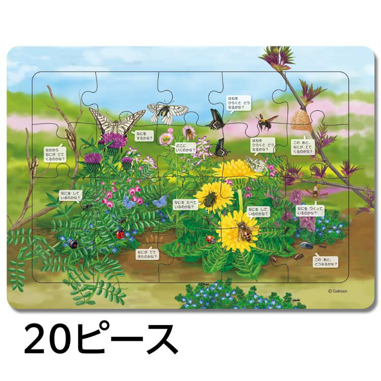 ジグソーパズル はっけんパズル(むし) 15ピ...の紹介画像3
