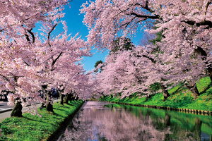 ジグソーパズル 桜雲の弘前公園(青森) 1000ピース YAM-10-1455 パズル Puzzle ギフト 誕生日 プレゼント
